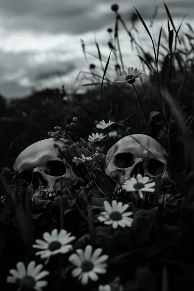 Eerie Daisies and Skulls