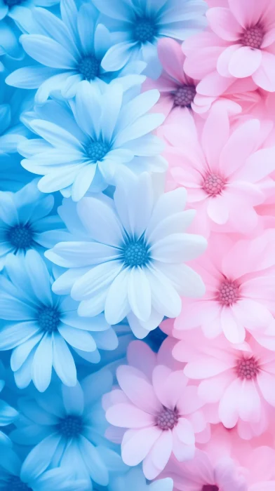 Pastel Flowers from Above