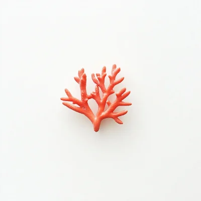 Coral Bead Twig on White Background