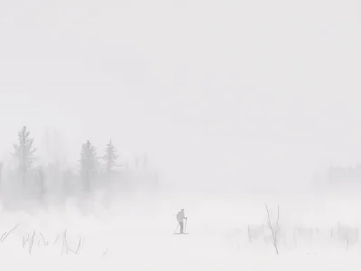 Skier in Fog