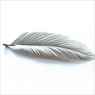 Simple Palm Tree Leaf