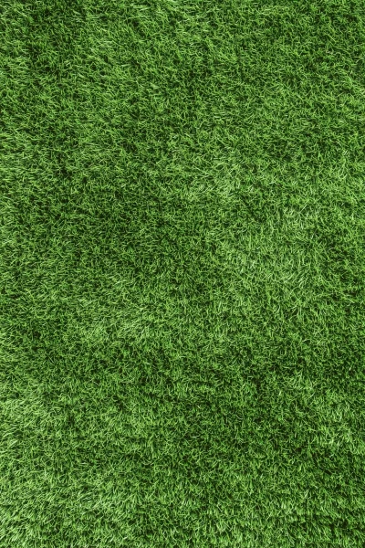 Football Grass Texture