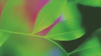 Gradient Heatmap of Green Leaves