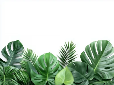 Trendy Tropical Leaves