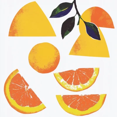 Oranges Illustration