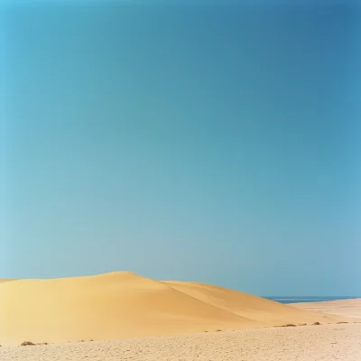 Desert Horizon