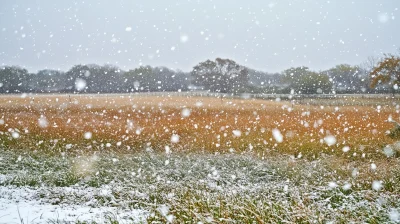 Snowy Field in Winter