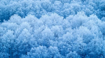 Epic Aerial View of Snow