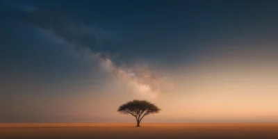 Lonely Tree Under the Stars