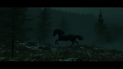 Black Mare in a Blizzard