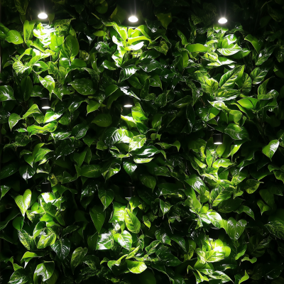 Luxurious Living Wall