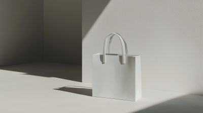 Minimalist Paper Bag