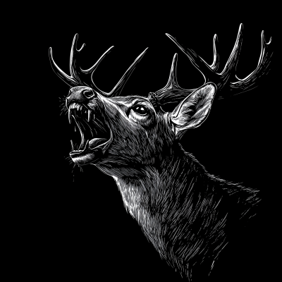 Fierce Deer Sketch