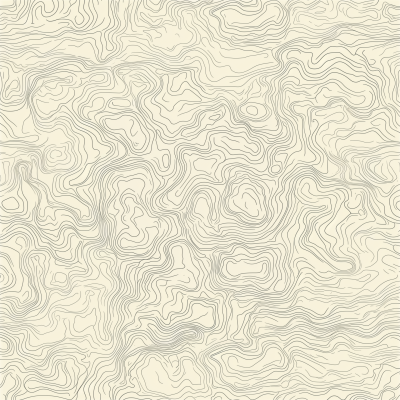 Topographic Pattern