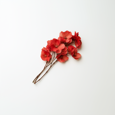 Decaying Red Begonias