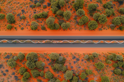 Green Tire Marks on Road