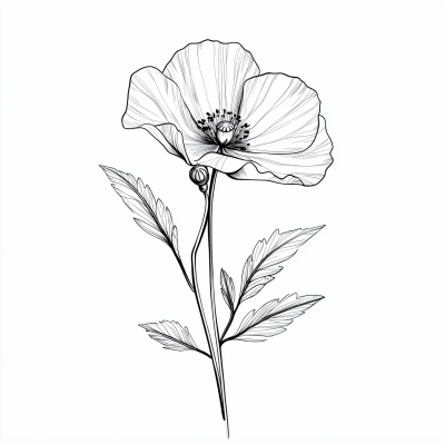 Minimalist California Poppy Lineart