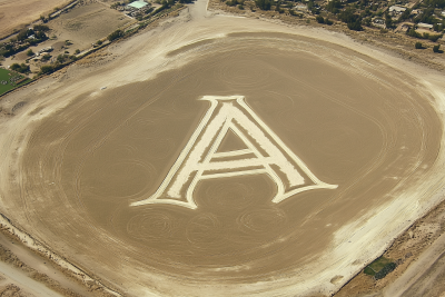 Nazca Lines Crop Circles