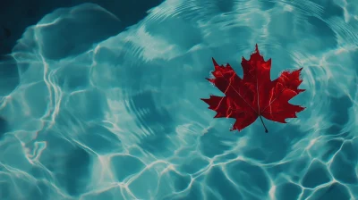 Red Maple Leaf on Water