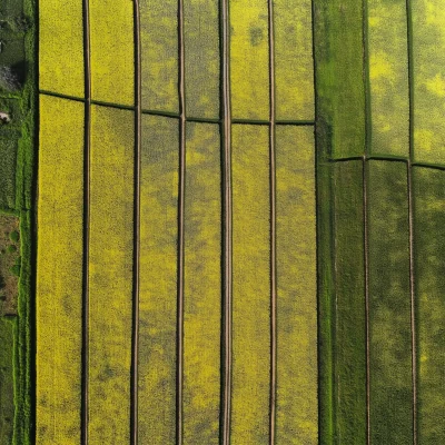 Top View of a Cityscape