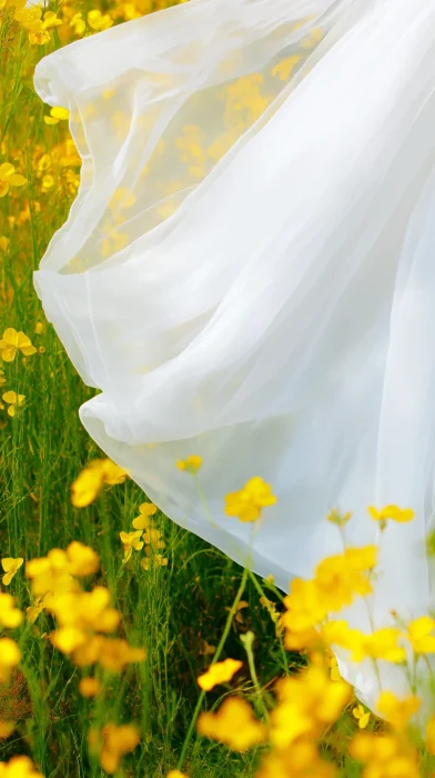 Girl in Rapeseed Field