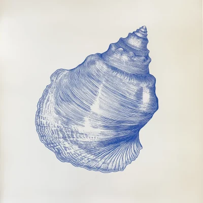 Sea Shell Screenprint