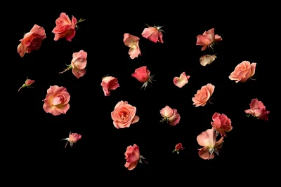 Flying Roses from Above