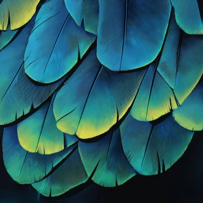 Bold Graphic of Amazon Bird Feathers