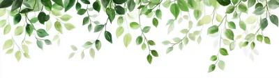 Green Leaves Illustration