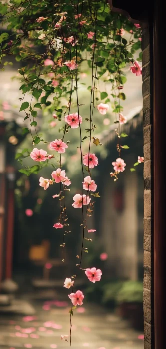 Dreamy Courtyard Flowers