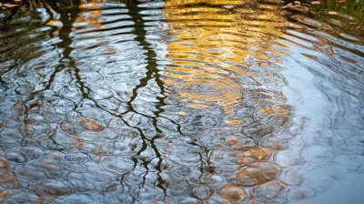 Rippling Reflection