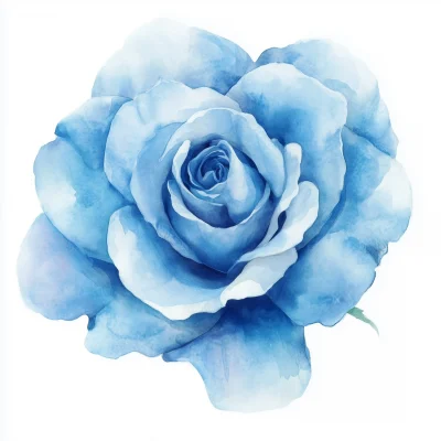 Blue Rose Watercolor