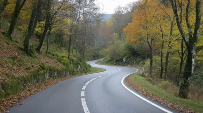 European Asfalting Road
