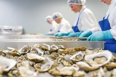 Oyster Processing Room