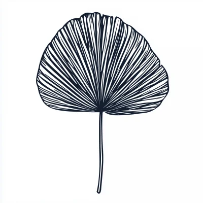 Handdrawn Fan Palm Leaf