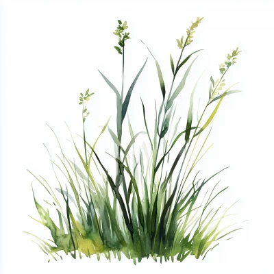 Watercolor Grass Illustration