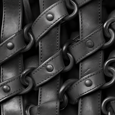 Close Up of Leather Bridals