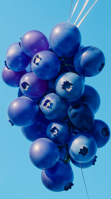 Blueberry Balloons in the Sky