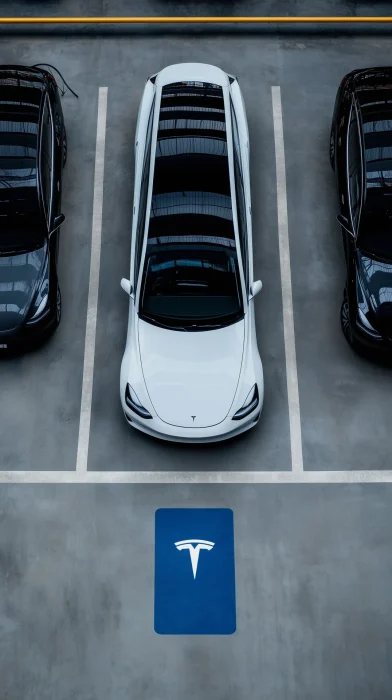 Parking Lot Scene