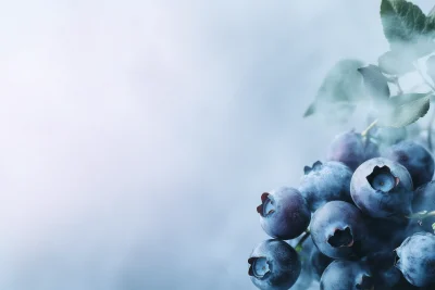 Modern Organic Web Banner