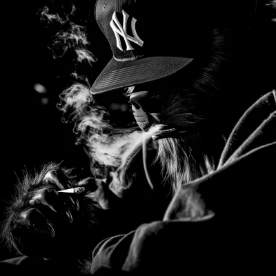 Werewolf in New York