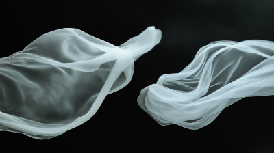 Elegant White Veils Intertwined