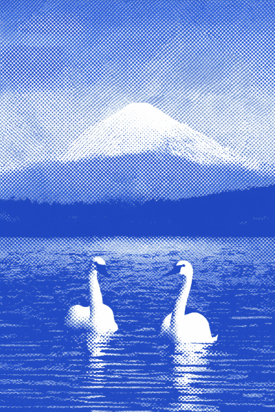 Mount Fuji Reflection