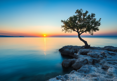 Sunset Island View