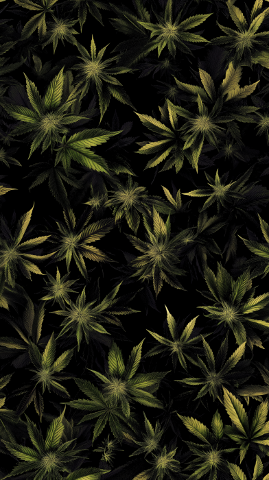 Cannabis Leaf Pattern Wallpaper