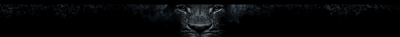 Stylized Lion Face
