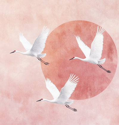 Graceful Cranes at Sunset